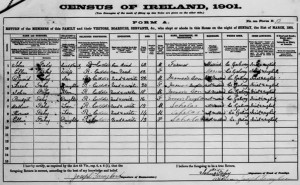 1901 Census of Ireland, showing the Fahy family.