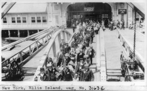 Ellis Island image