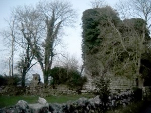 The ruins of Grange Castle, County Galway.