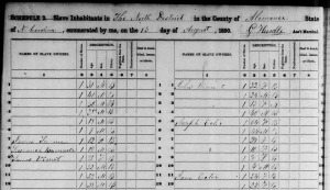 1850 United States Slave Schedule, Familysearch.org