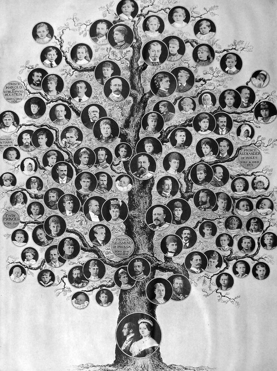 Queen Victoria genealogical tree