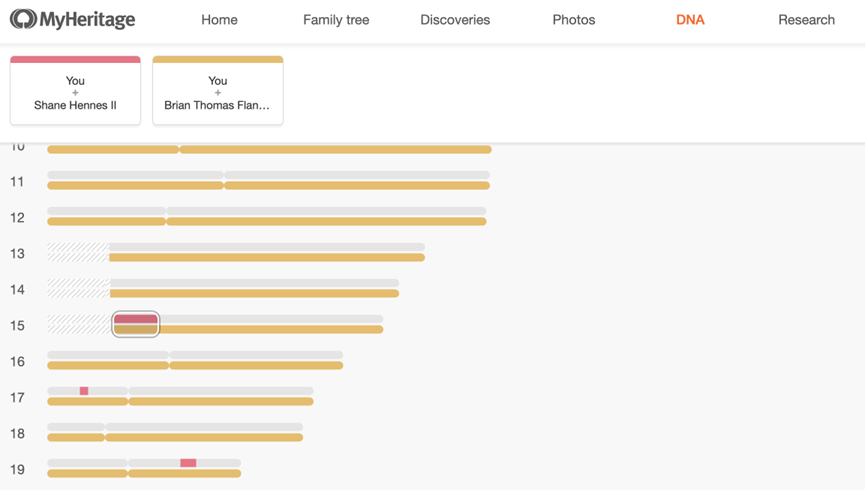 screenshot from MyHeritage