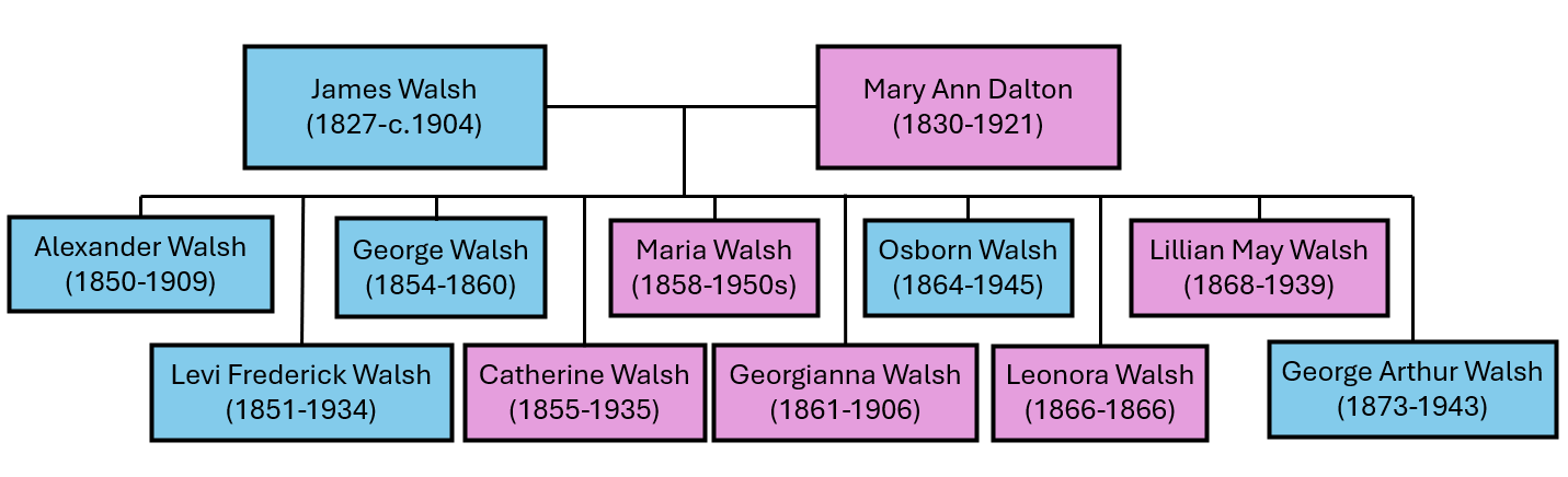 Walsh Tree for Vita Brevis