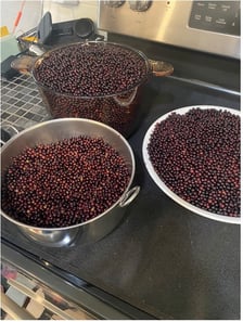 berries