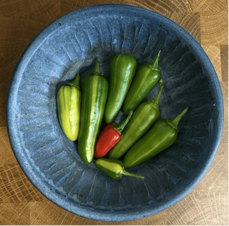 harvest