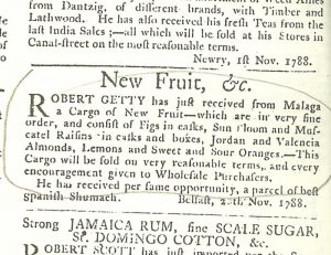 blue roan hiding in plain sight the secret ancestors value