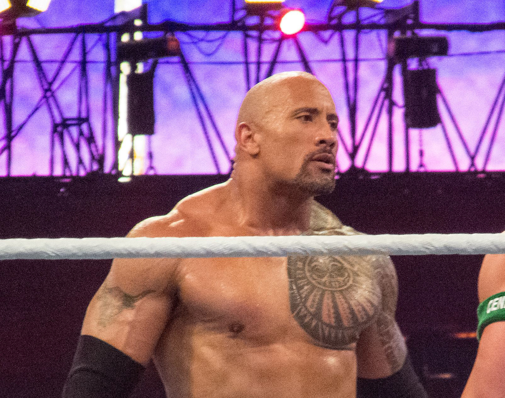 The Anoaʻi Family: Four Generations of Wrestling Greatness, image size:1604x1266